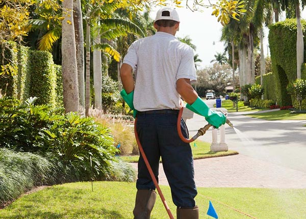 About Williston Park NY Pest Control